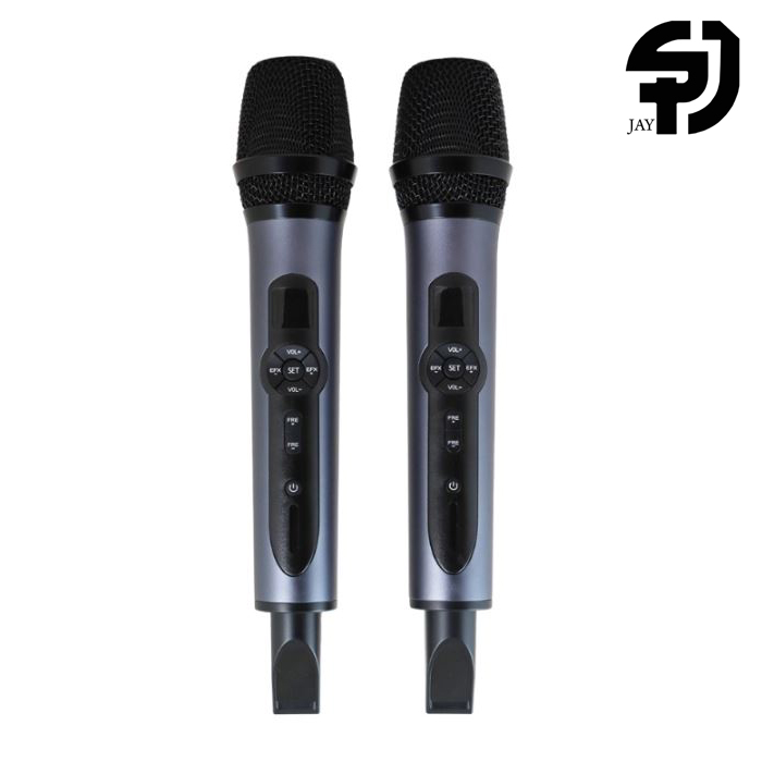 میکروفن بی سیم دستی دوبل MIC2